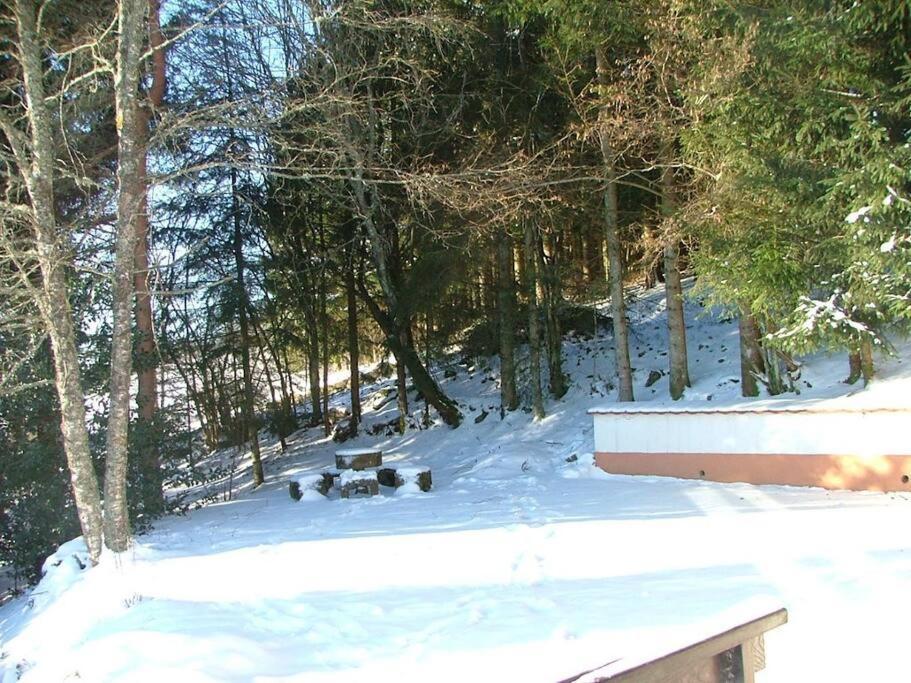 Maison D'Altitude Avec Vue Panoramique A ג'רארדמר מראה חיצוני תמונה