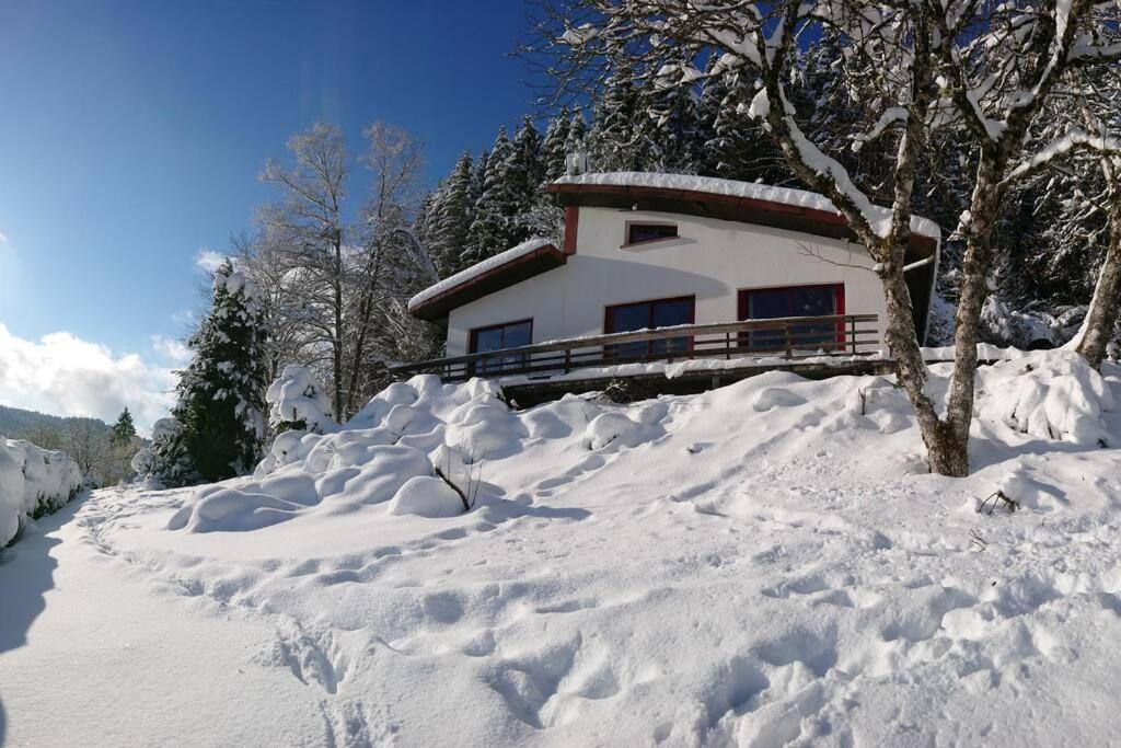 Maison D'Altitude Avec Vue Panoramique A ג'רארדמר מראה חיצוני תמונה