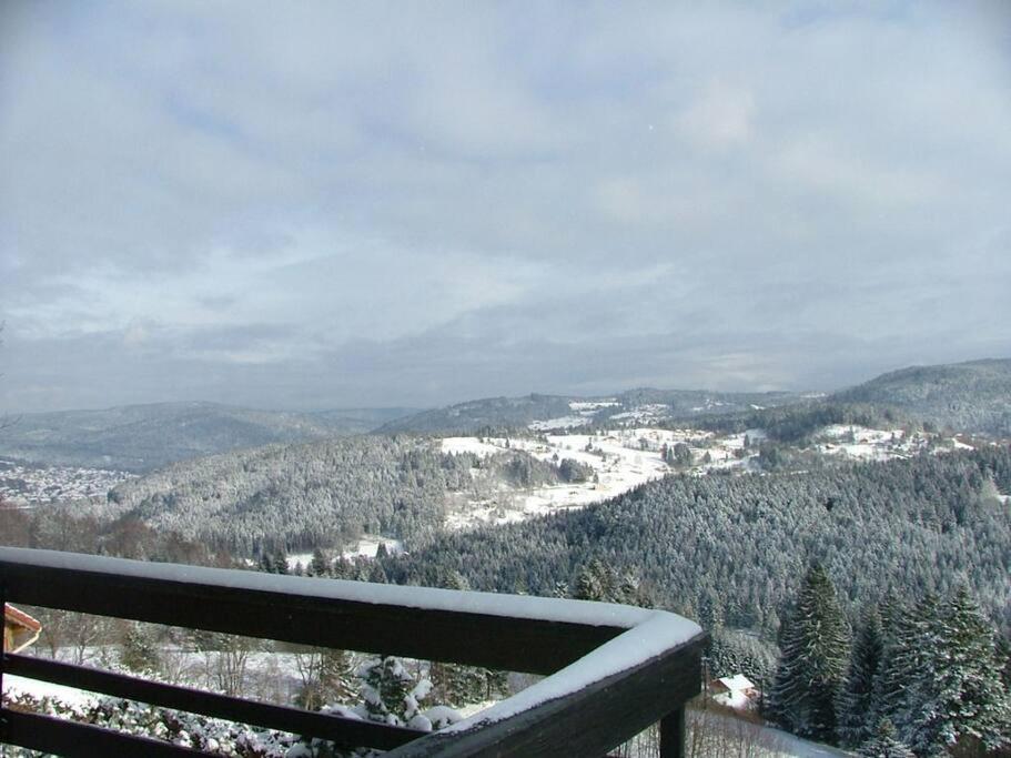 Maison D'Altitude Avec Vue Panoramique A ג'רארדמר מראה חיצוני תמונה