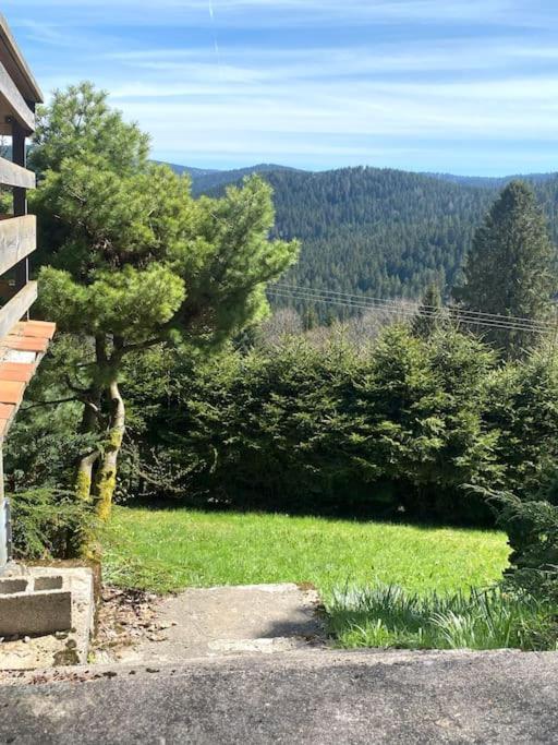 Maison D'Altitude Avec Vue Panoramique A ג'רארדמר מראה חיצוני תמונה